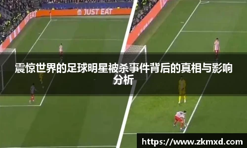震惊世界的足球明星被杀事件背后的真相与影响分析